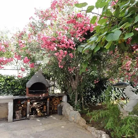 Croatia Borik Garten For Family Eg 1 アパート