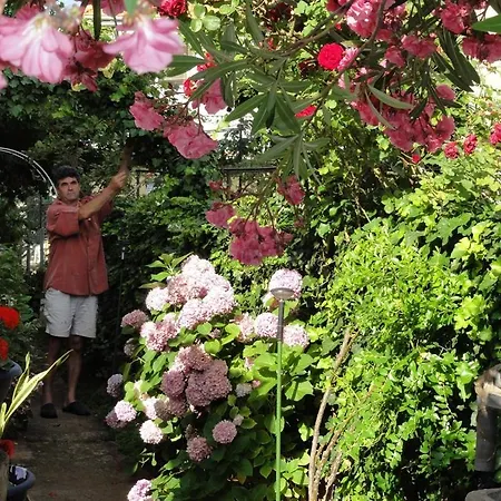アパート Croatia Borik Garten For Family Eg 1