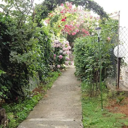 Croatia Borik Garten For Family Eg 1 アパート *